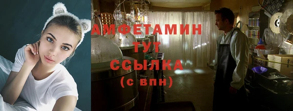 крисы Елизово