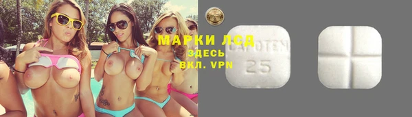 крисы Елизово
