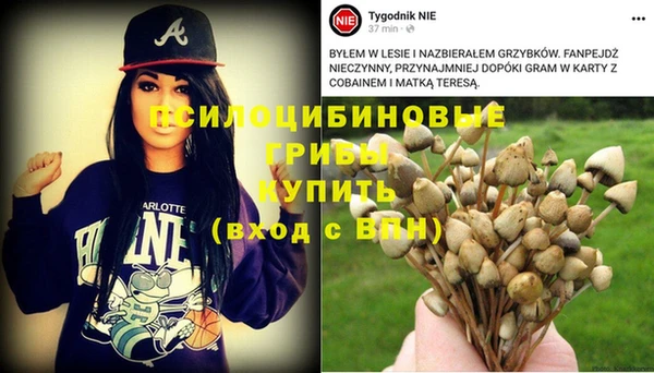 MDMA Premium VHQ Ельня