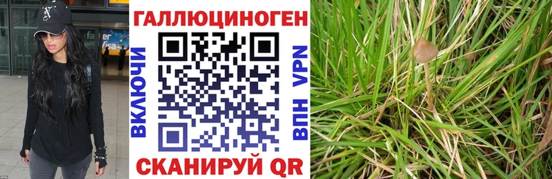 сколько стоит  Знаменск  Псилоцибиновые грибы прущие грибы 
