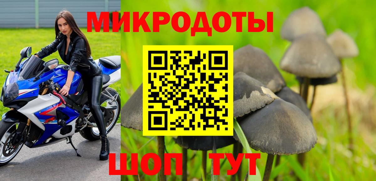 Галлюциногенные грибы мицелий  Галлюциногенные грибы GOLDEN TEACHER  Знаменск  Вход с VPN 