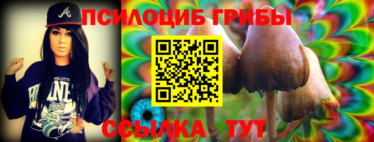 Галлюциногенные грибы Psilocybine cubensis Знаменск