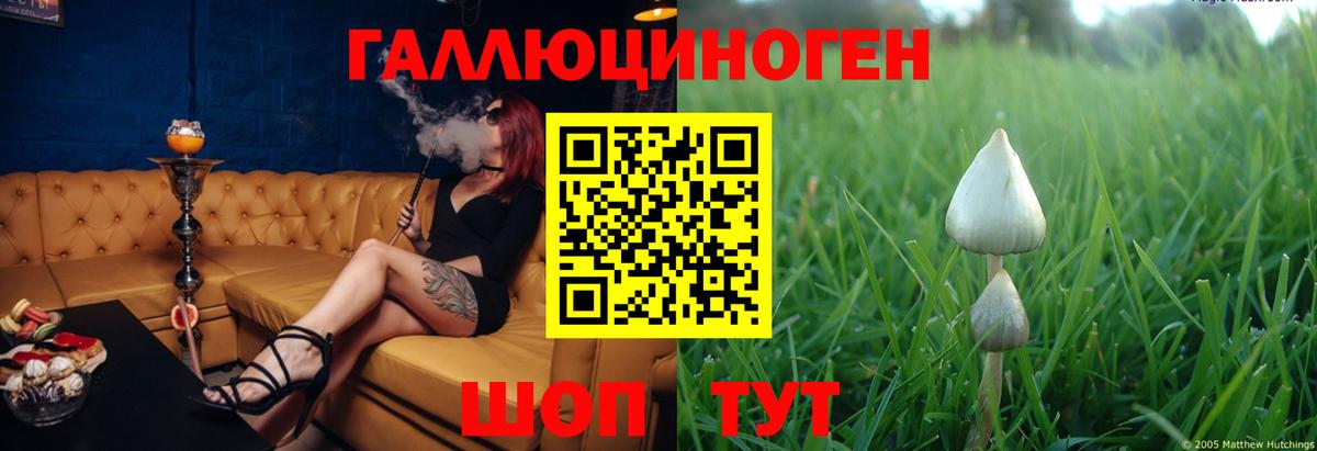 Псилоцибиновые грибы MAGIC MUSHROOMS  цена   Знаменск 